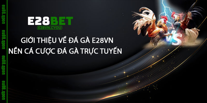 Giới thiệu về Đá Gà e28vn và sự phát triển của nền cá cược đá gà trực tuyến